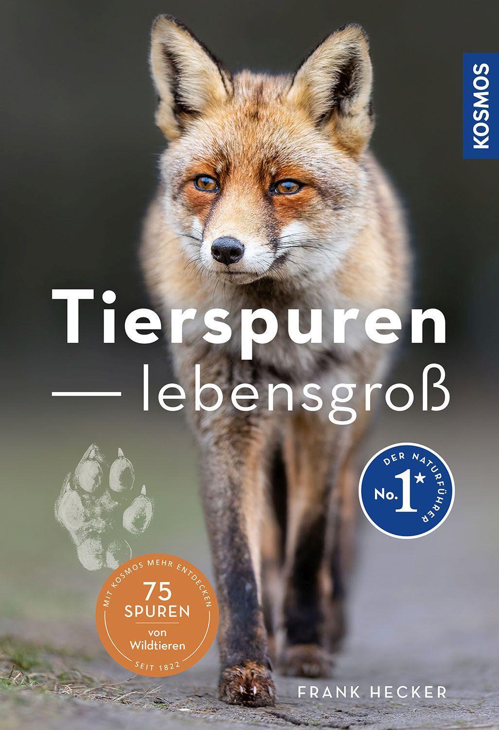 Cover: 9783440177747 | Tierspuren lebensgroß | 50 Tierspuren und wer sie hinterlässt | Hecker