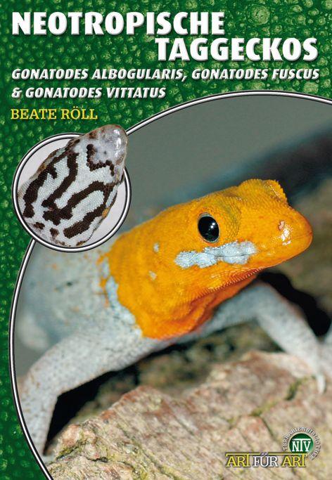 Cover: 9783866591141 | Neotropische Taggeckos | Beate Röll | Taschenbuch | Art für Art | 2009