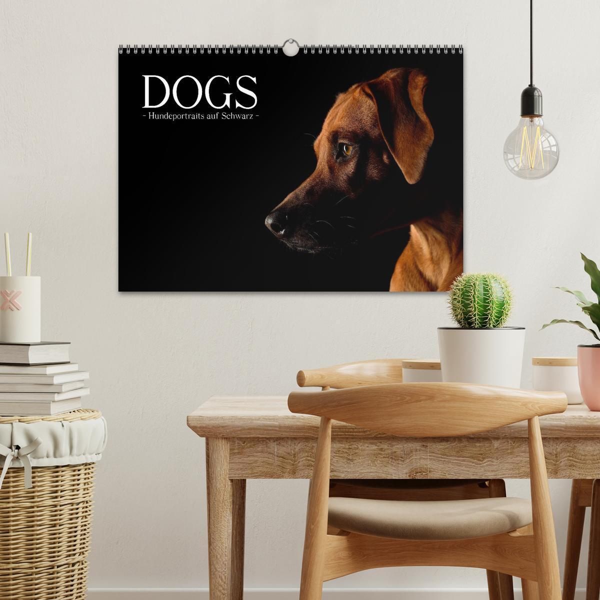 Bild: 9783435742219 | Dogs (Wandkalender 2025 DIN A3 quer), CALVENDO Monatskalender | Noack