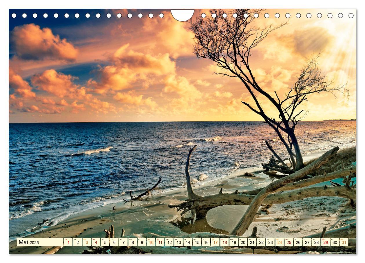 Bild: 9783435082841 | Romantische Ostsee - mein Urlaub (Wandkalender 2025 DIN A4 quer),...