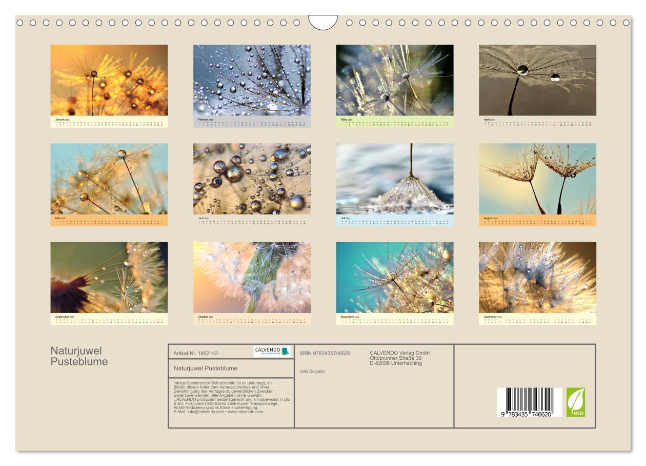 Bild: 9783435746620 | Naturjuwel Pusteblume (Wandkalender 2025 DIN A3 quer), CALVENDO...