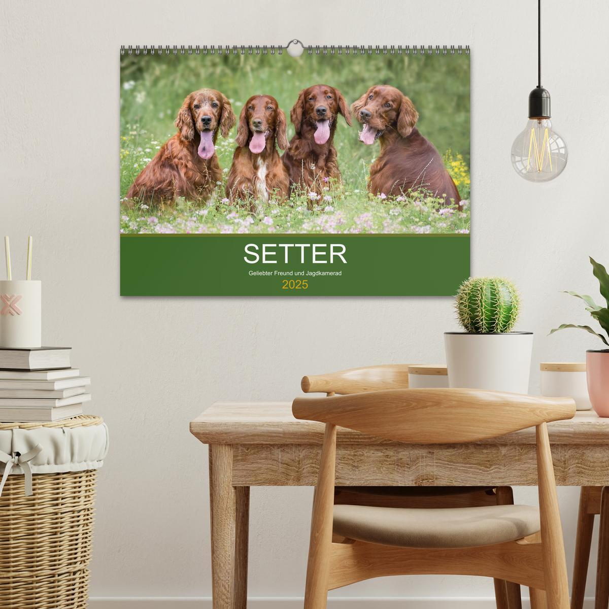 Bild: 9783435191727 | Setter - Geliebter Freund und Jagdkamerad (Wandkalender 2025 DIN A3...