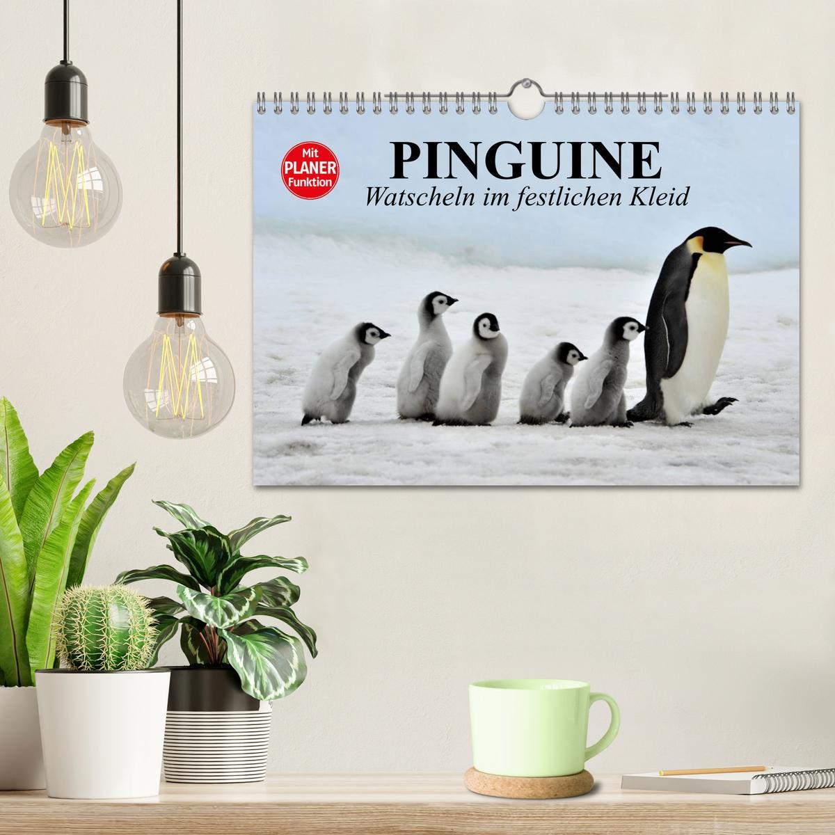 Bild: 9783435550708 | Pinguine - Watscheln im festlichen Kleid (Wandkalender 2025 DIN A4...