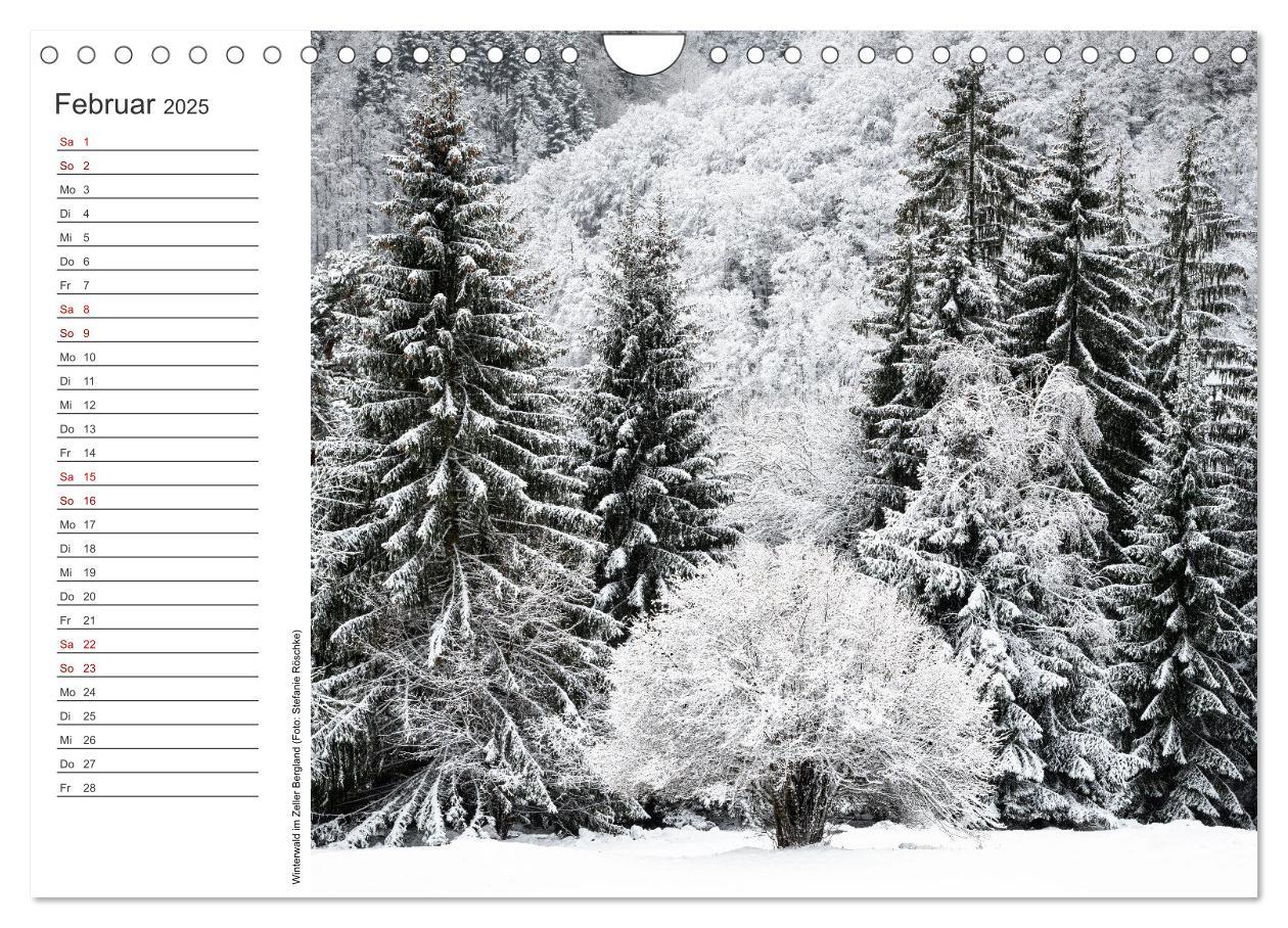 Bild: 9783383932762 | Naturvielfalt Wiesental (Wandkalender 2025 DIN A4 quer), CALVENDO...