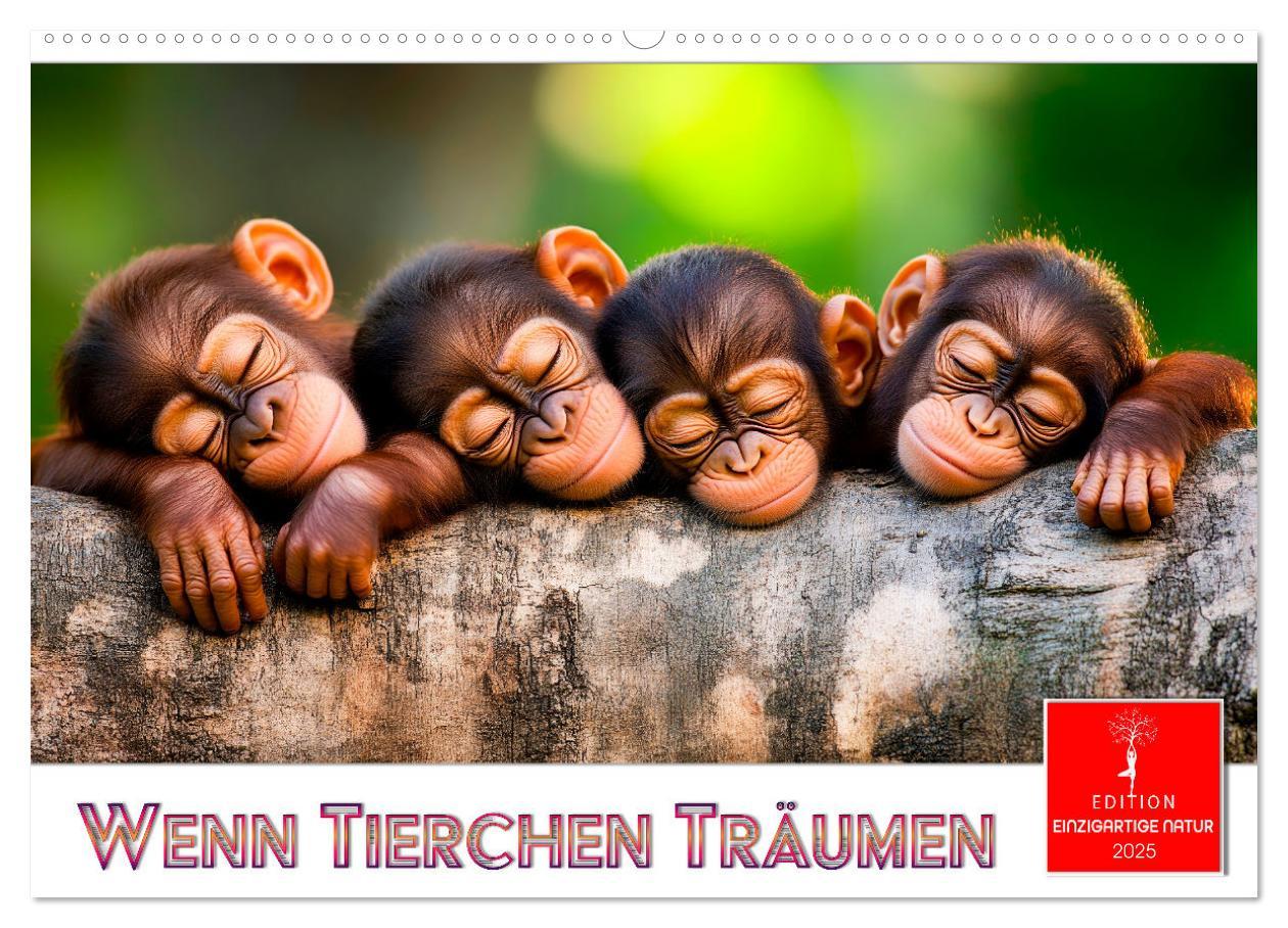 Cover: 9783457233672 | Wenn Tierchen träumen (Wandkalender 2025 DIN A2 quer), CALVENDO...