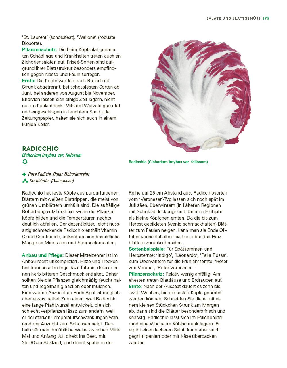 Bild: 9783747109120 | Das große Gemüse- und Obstgartenbuch | Joachim Mayer | Taschenbuch