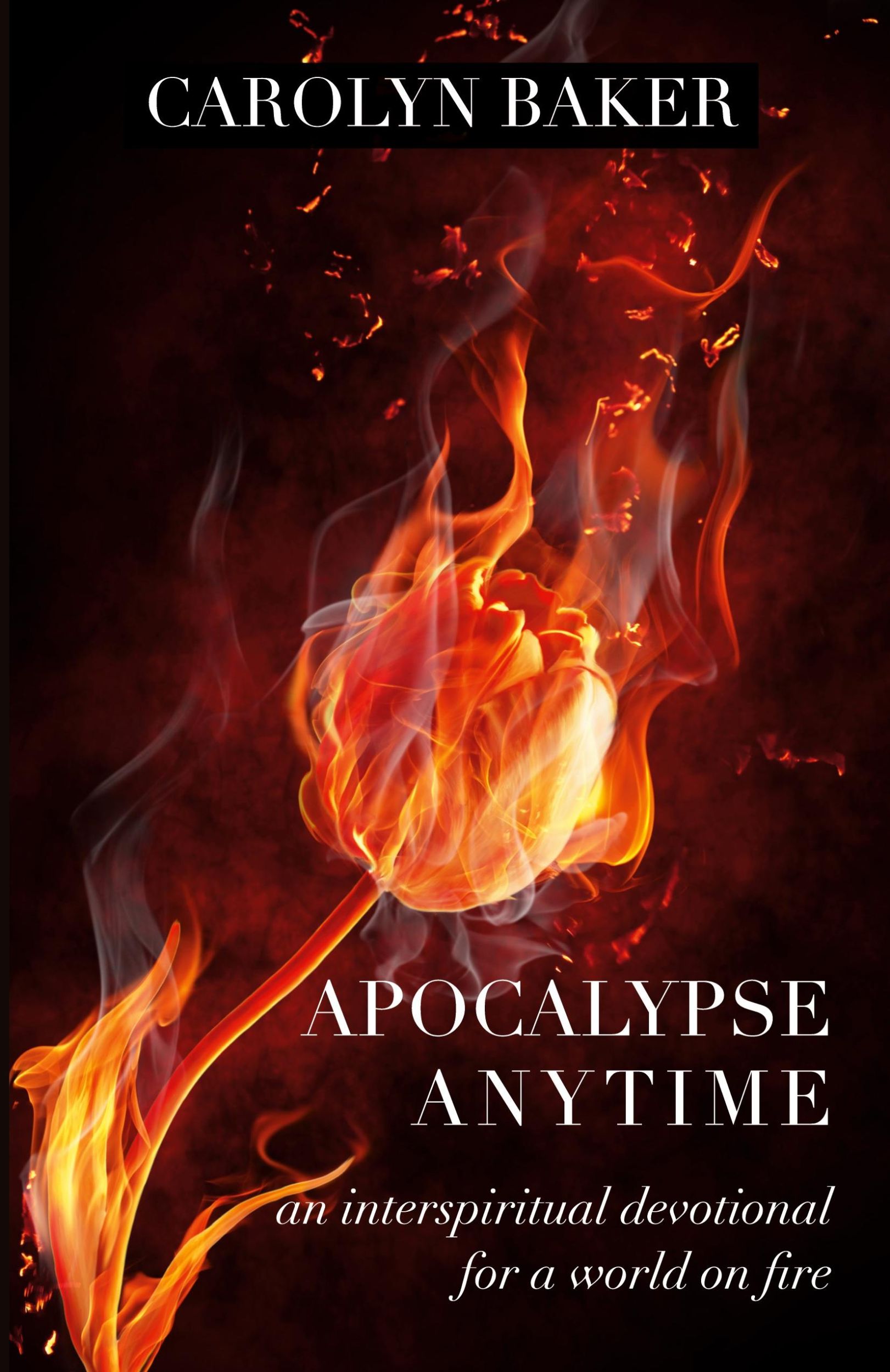 Cover: 9781958061329 | Apocalypse Anytime | An Interspiritual Devotional for a World on Fire