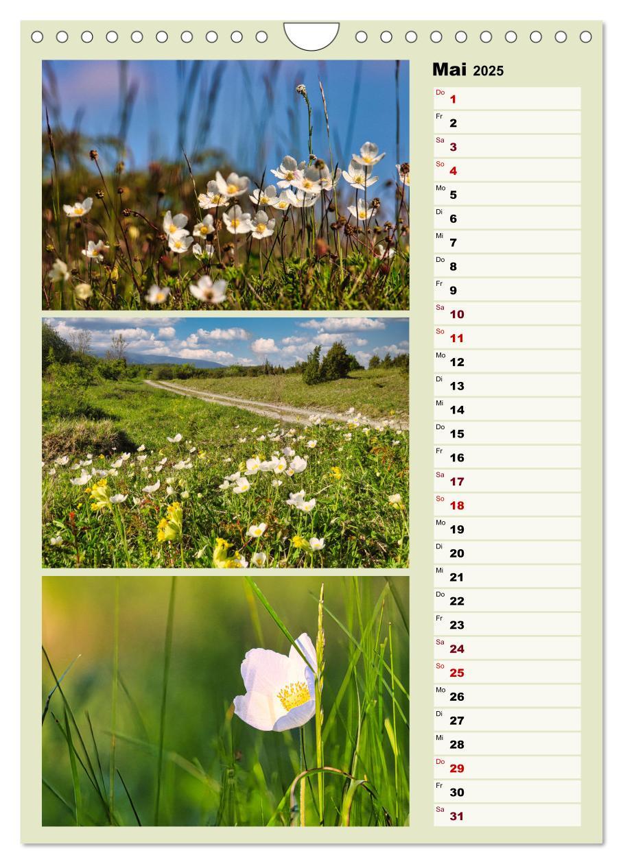 Bild: 9783457146224 | Harmonie der Farben in Landschaft und Natur (Wandkalender 2025 DIN...