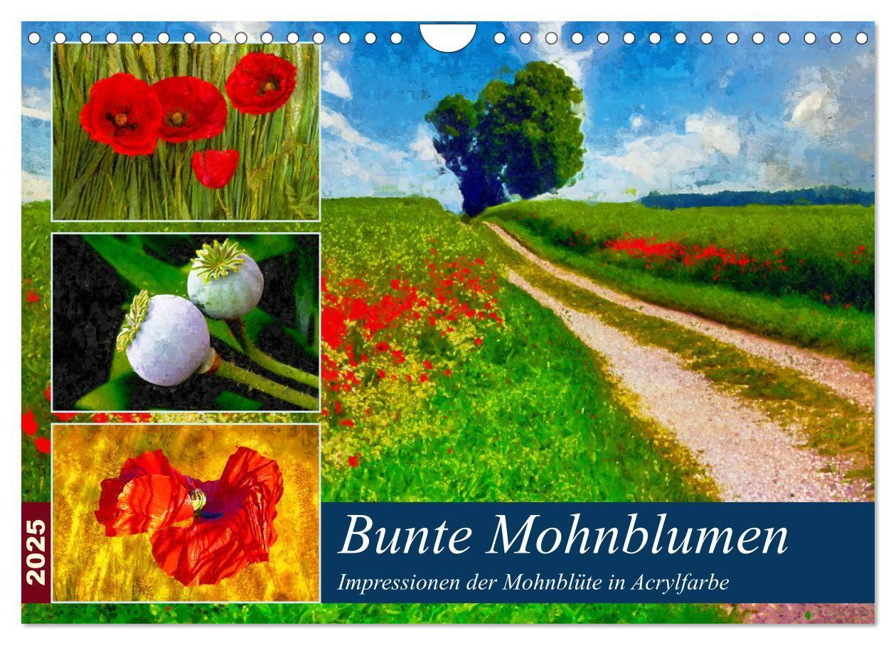 Cover: 9783383984112 | Bunte Mohnblumen - Impressionen der Mohnblüte in Acrylfarbe...