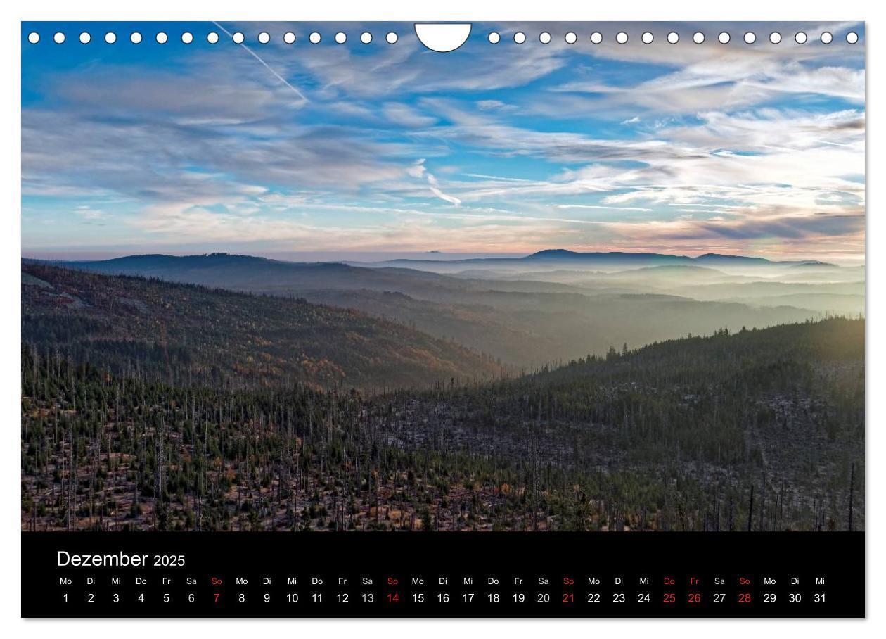 Bild: 9783435537990 | Herbst im Nationalpark Bayerischer Wald (Wandkalender 2025 DIN A4...