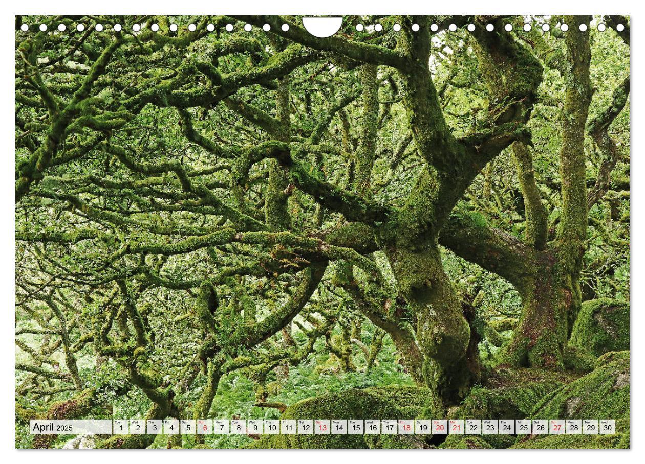 Bild: 9781325940837 | Magic South of England (Wall Calendar 2025 DIN A4 landscape),...