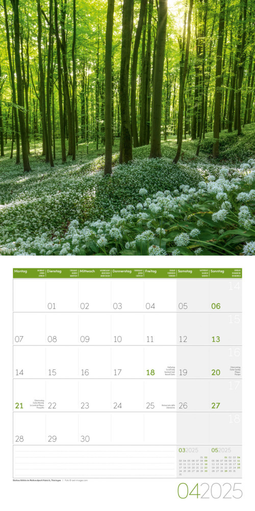 Bild: 9783838445076 | Naturwunder Deutschland Kalender 2025 - 30x30 | Ackermann Kunstverlag