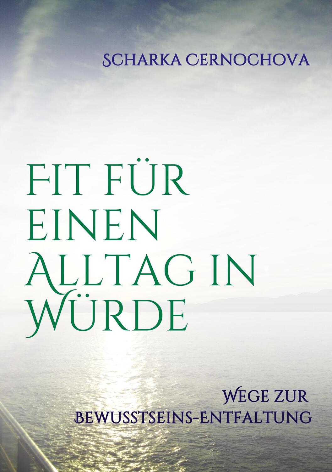 Cover: 9783749795284 | Fit für einen Alltag in Würde | Wege zur Bewusstseins-Entfaltung