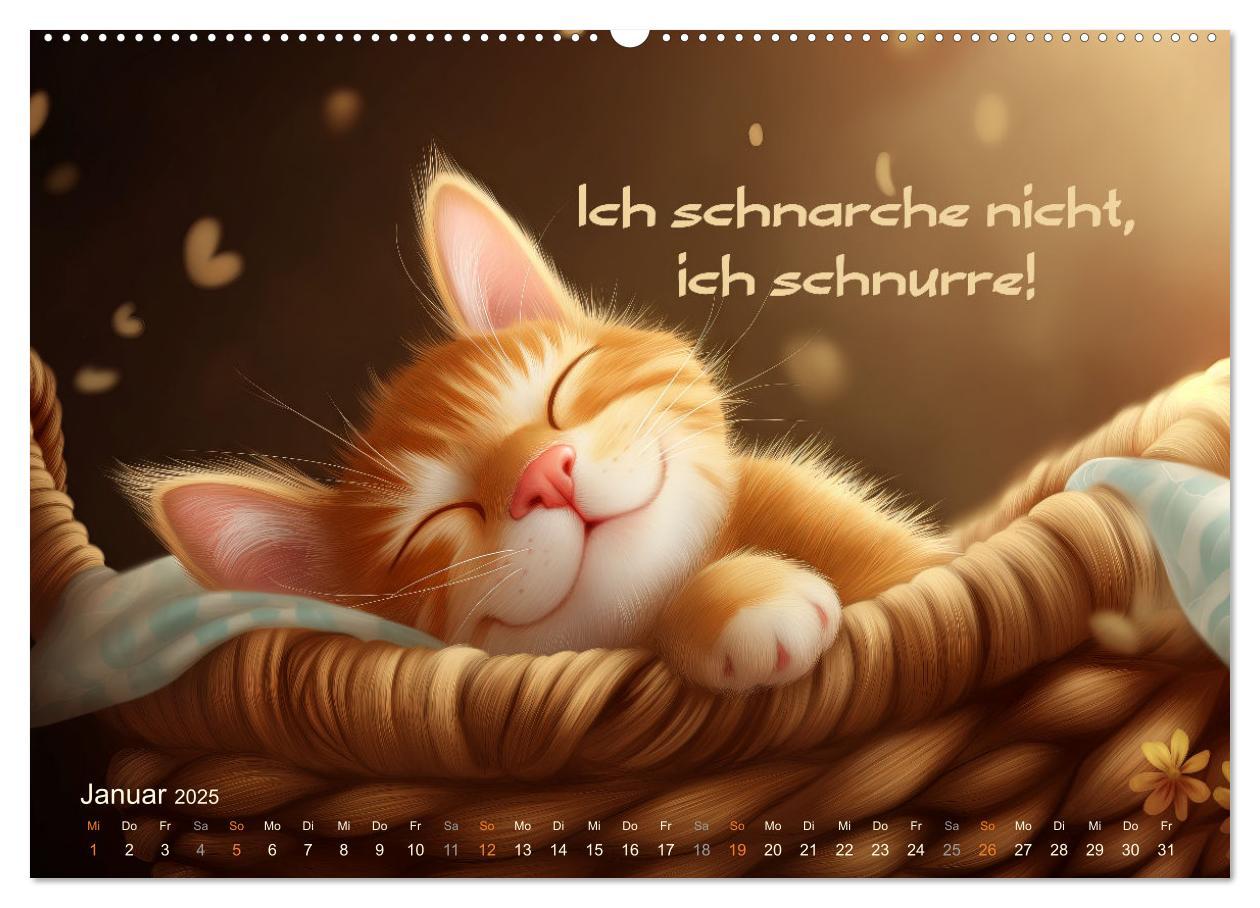 Bild: 9783383780325 | Samtpfotensprüche (Wandkalender 2025 DIN A2 quer), CALVENDO...