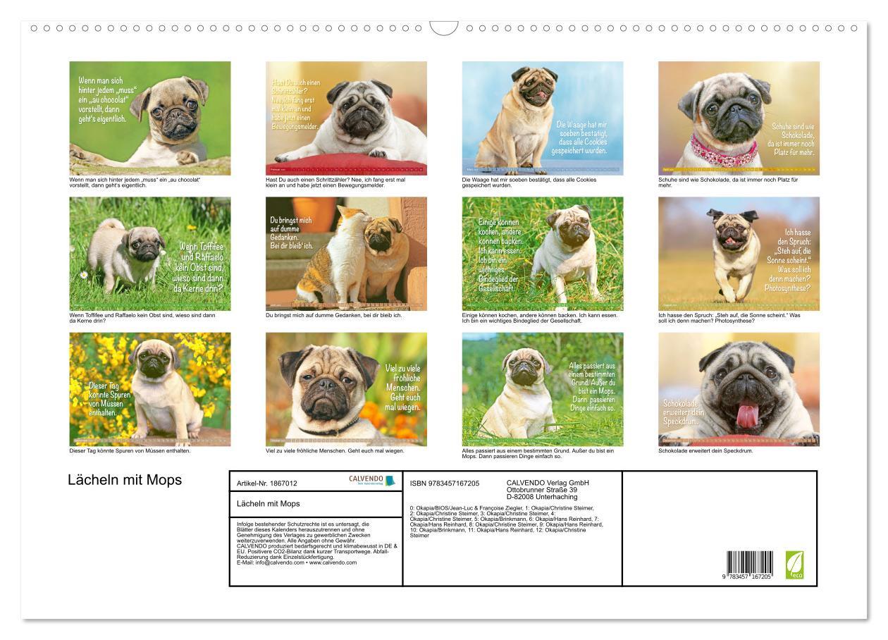 Bild: 9783457167205 | Lächeln mit Mops (Wandkalender 2025 DIN A2 quer), CALVENDO...