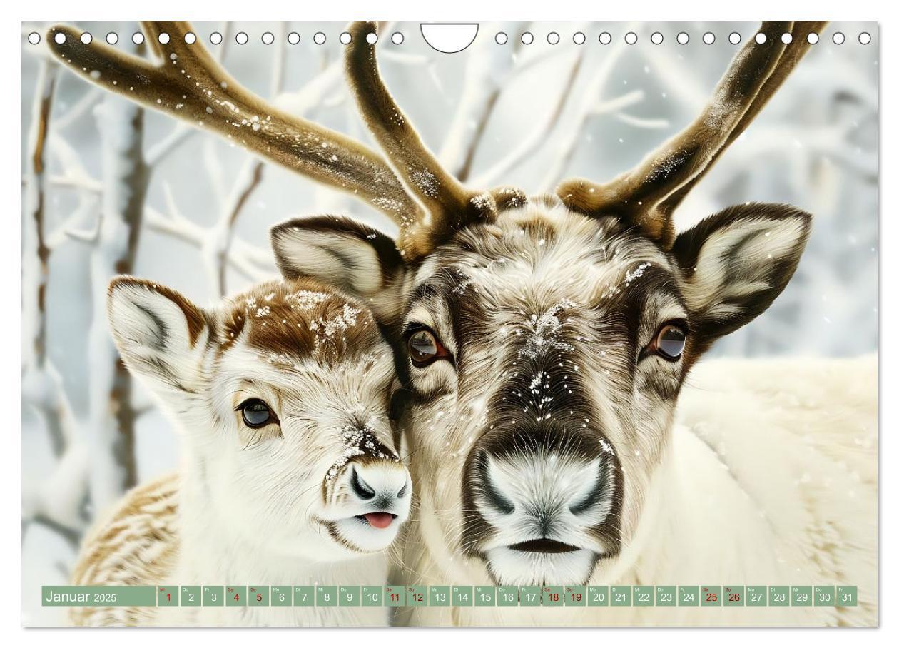 Bild: 9783383789182 | Tierkinder des Nordens (Wandkalender 2025 DIN A4 quer), CALVENDO...