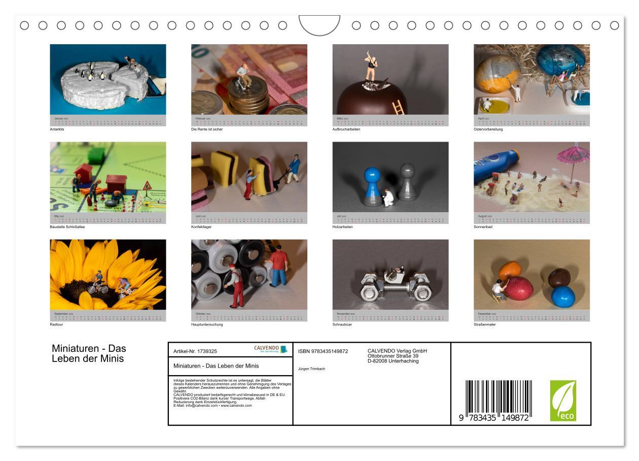 Bild: 9783435149872 | Miniaturen - Das Leben der Minis (Wandkalender 2025 DIN A4 quer),...