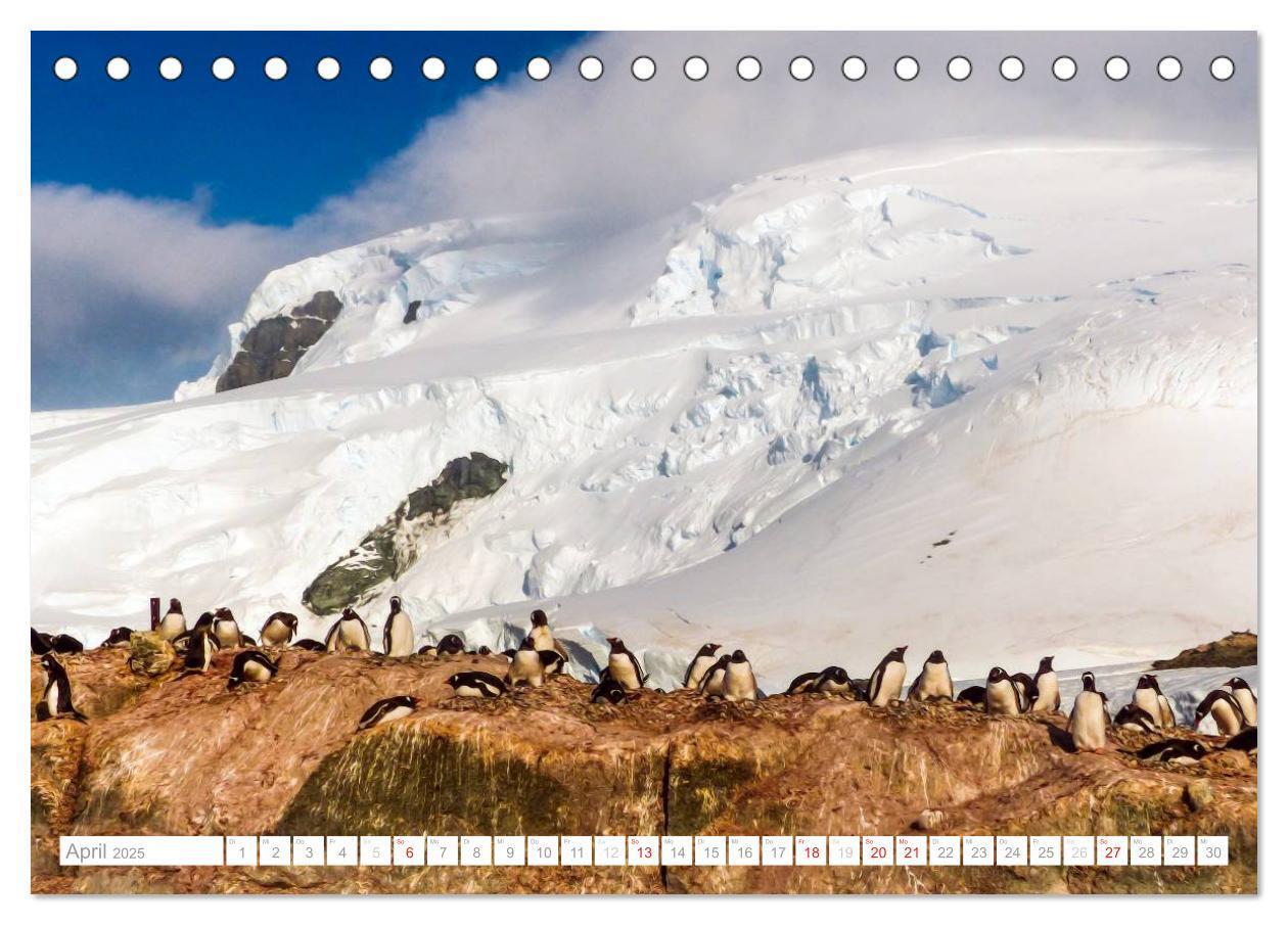 Bild: 9783435801190 | Antarktis - Das Reich der Pinguine (Tischkalender 2025 DIN A5...