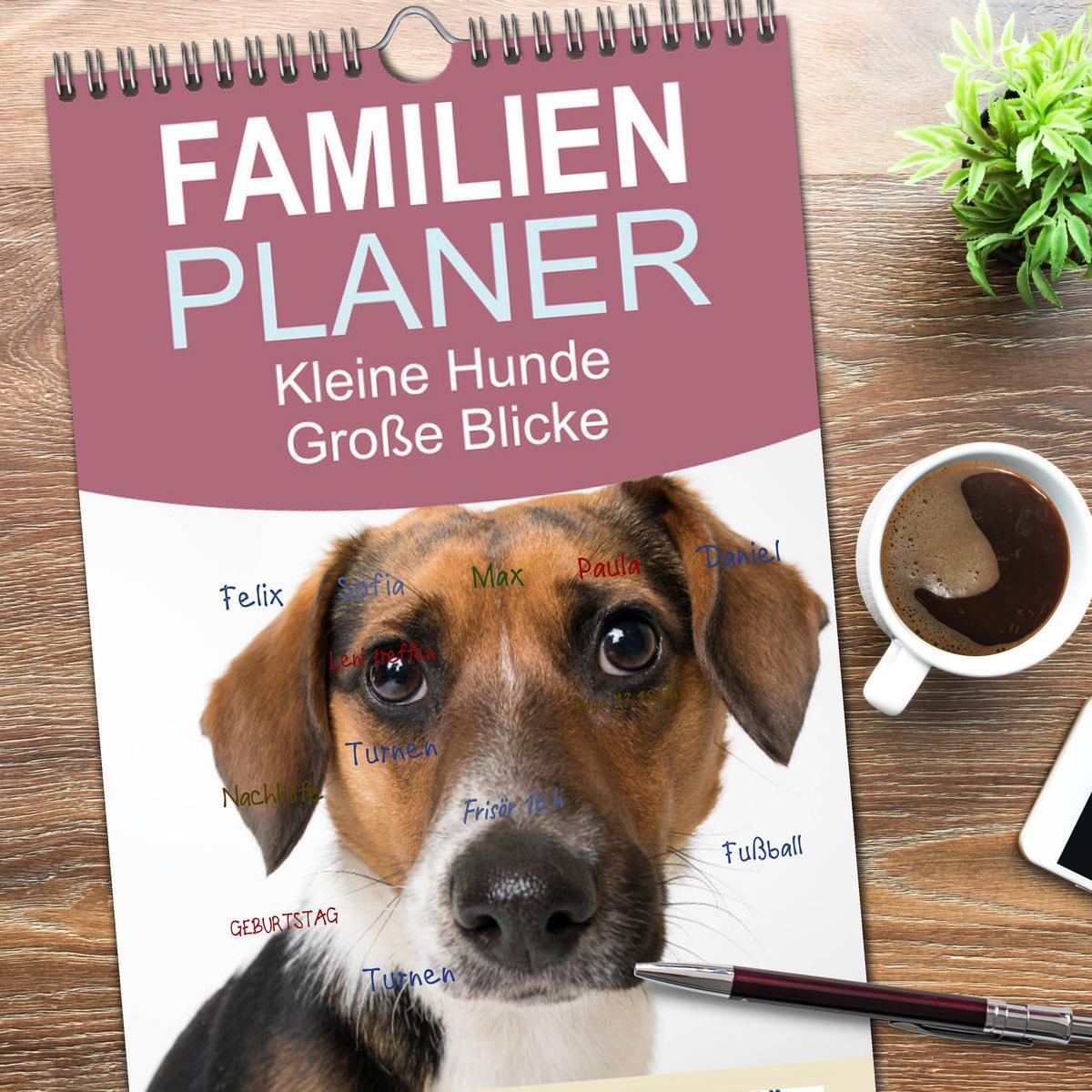 Bild: 9783457115305 | Familienplaner 2025 - Kleine Hunde - Große Blicke mit 5 Spalten...