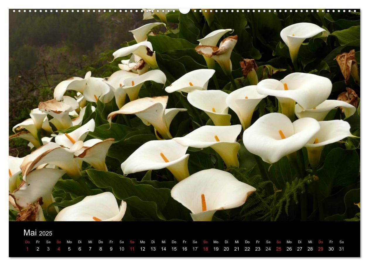 Bild: 9783435763276 | Madeira 2025 (Wandkalender 2025 DIN A2 quer), CALVENDO Monatskalender