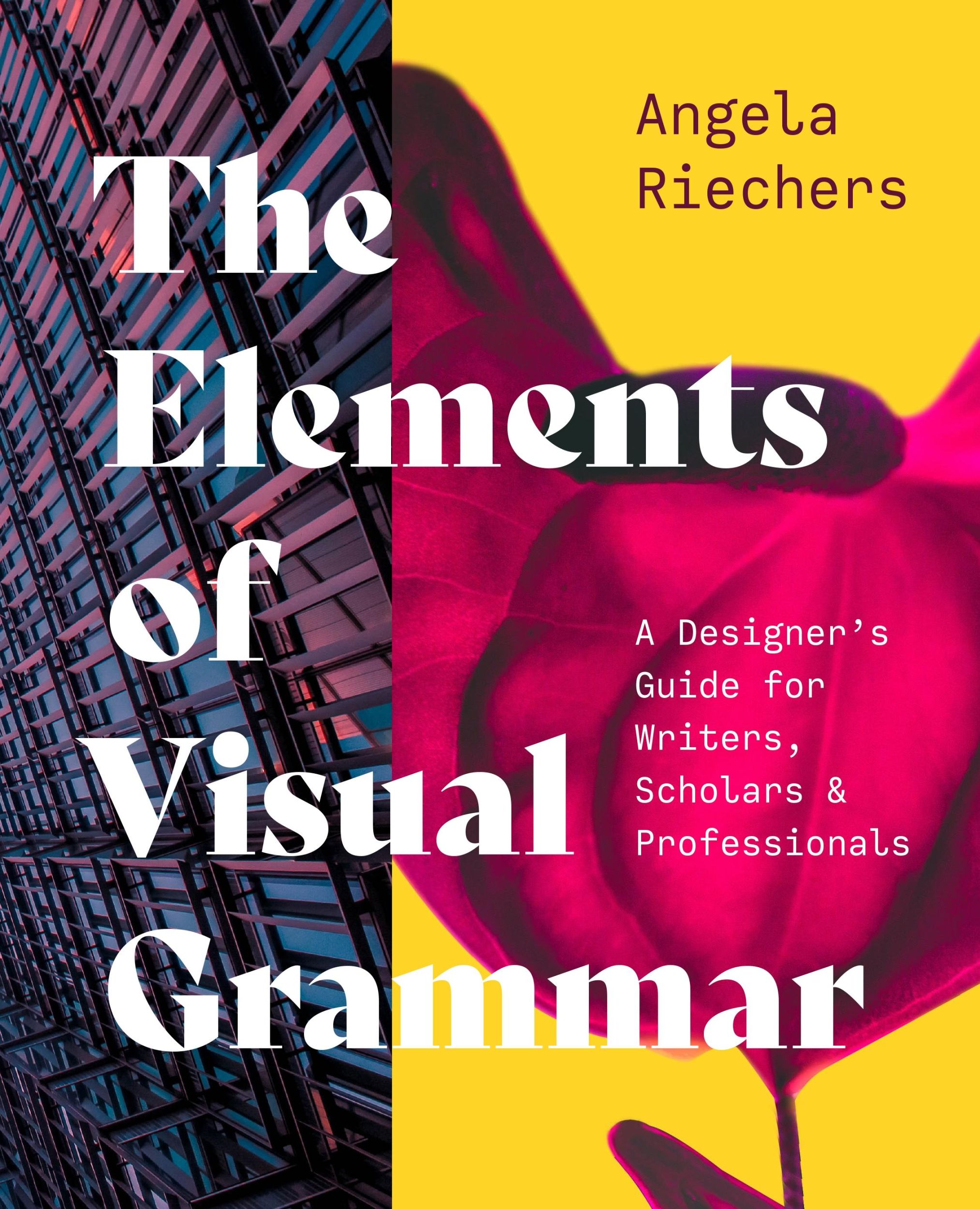 Cover: 9780691231228 | The Elements of Visual Grammar | Angela Riechers | Taschenbuch | 2024