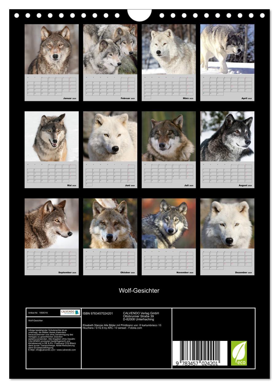 Bild: 9783457024201 | Wolf-Gesichter (Wandkalender 2025 DIN A4 hoch), CALVENDO...