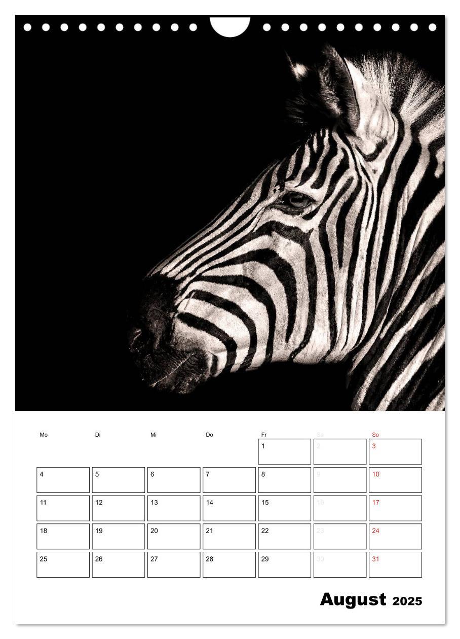 Bild: 9783457013533 | Charakterköpfe aus der Welt der Tiere (Wandkalender 2025 DIN A4...