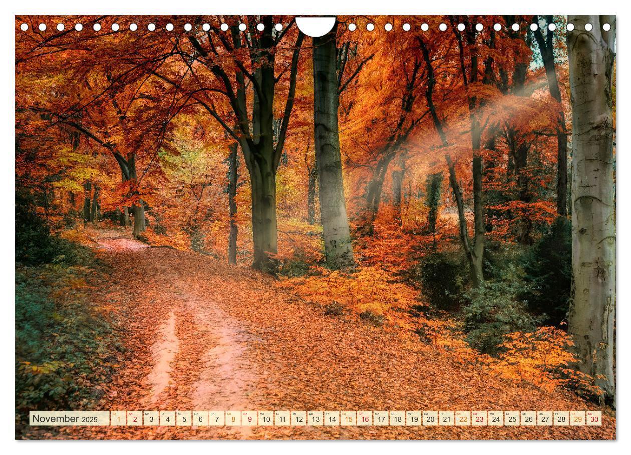 Bild: 9783435084326 | Traumwege entdecken (Wandkalender 2025 DIN A4 quer), CALVENDO...