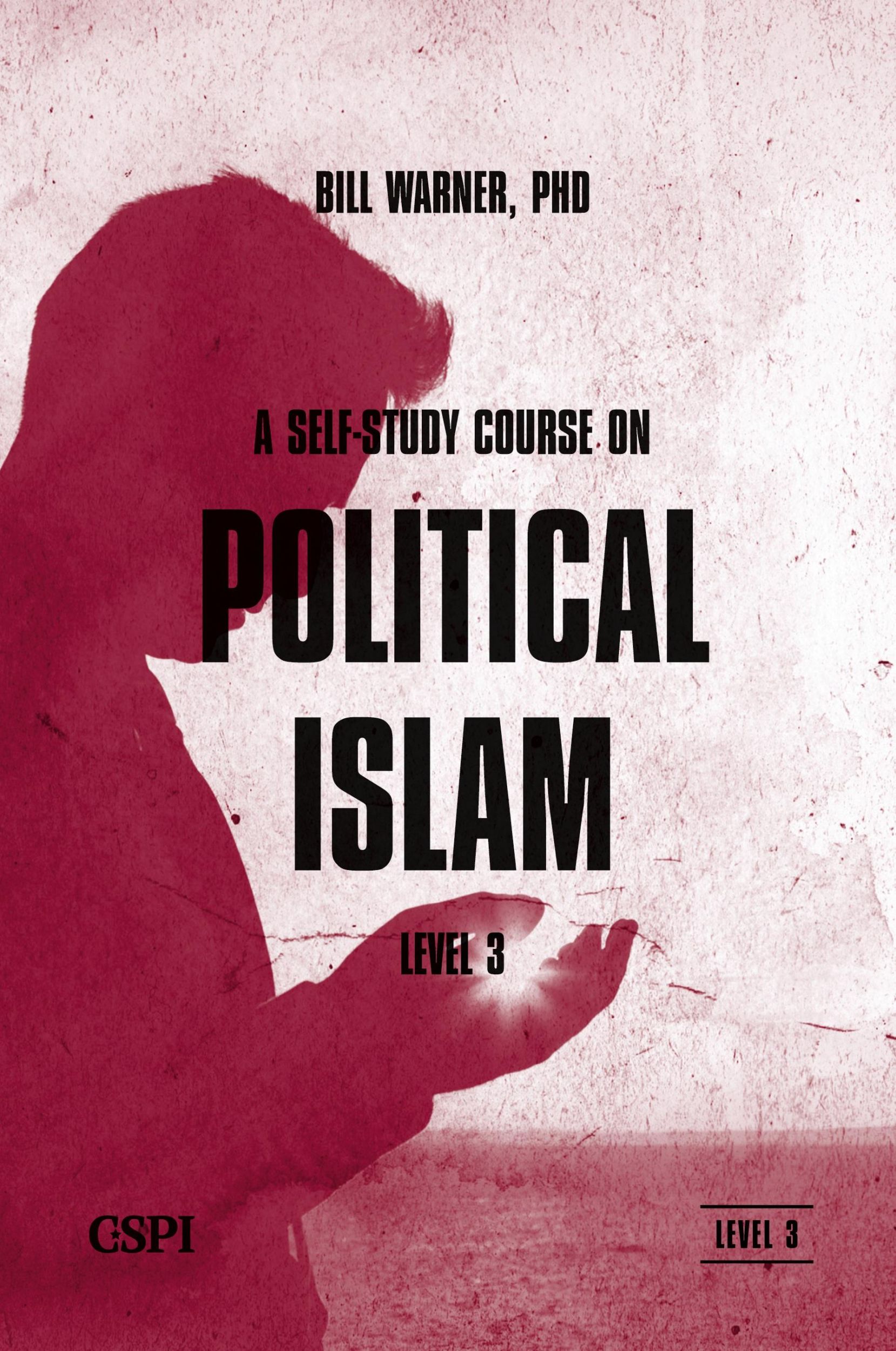 Cover: 9781936659111 | A Self-Study Course on Political Islam, Level 3 | Bill Warner | Buch