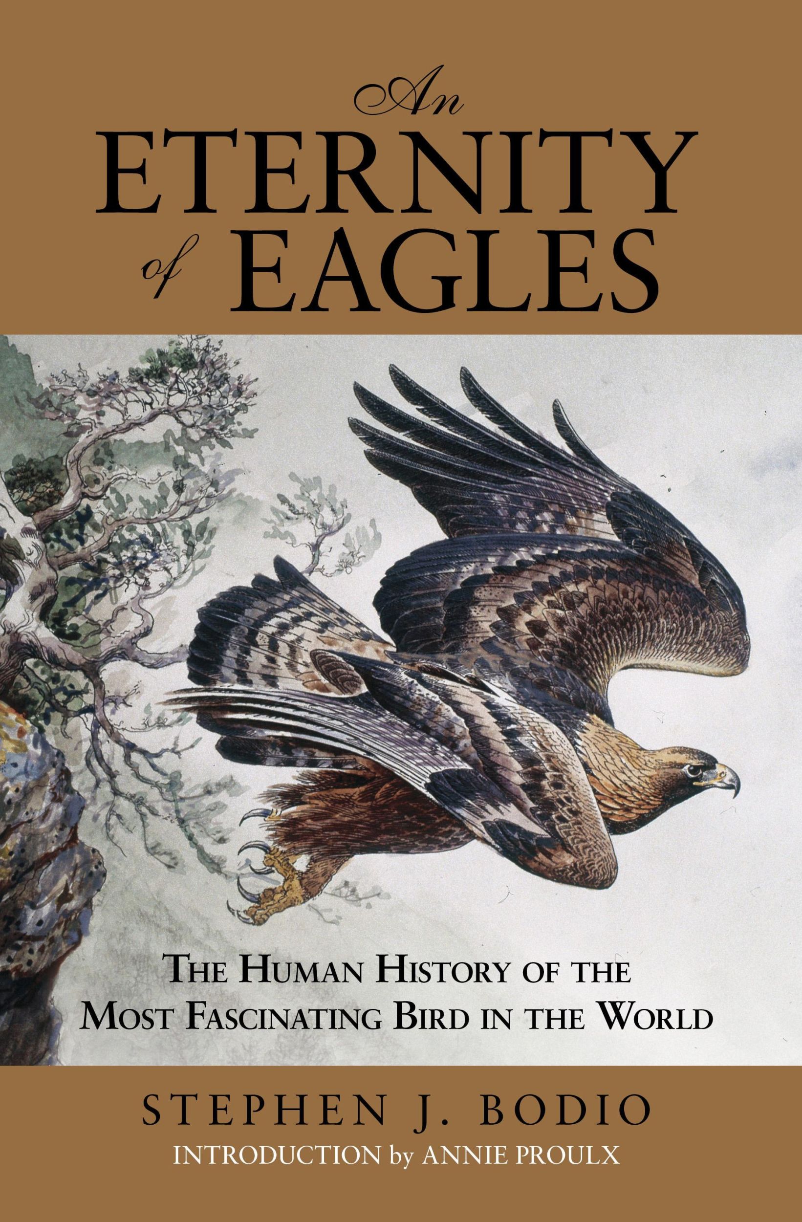 Cover: 9780762780228 | Eternity of Eagles | Stephen J Bodio | Buch | Englisch | 2012