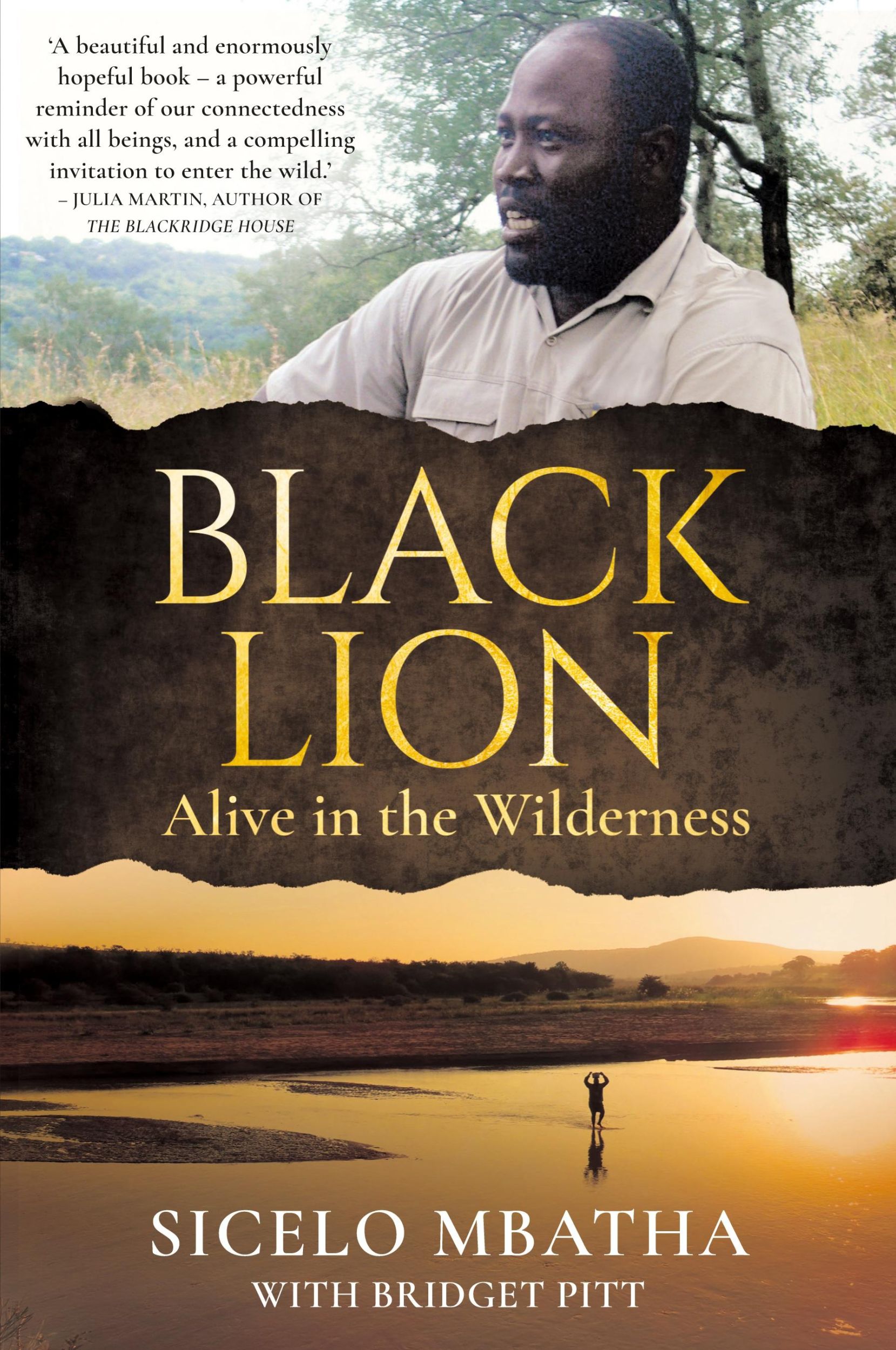 Cover: 9781776191284 | BLACK LION - Alive in the wilderness | Sicelo Mbatha | Taschenbuch