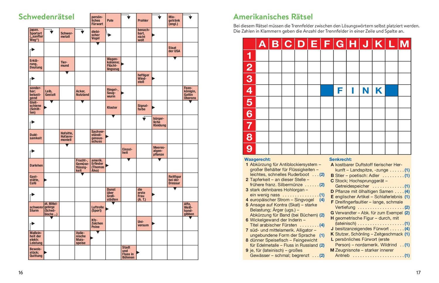 Bild: 9783625191636 | Sei schlau wie Einstein! - Rätsel in Großschrift | Taschenbuch | 2022