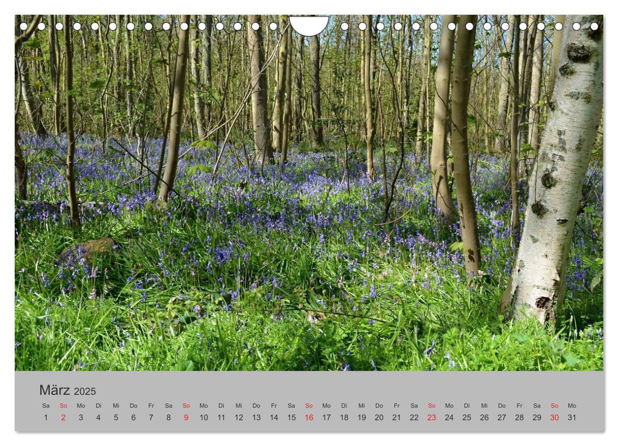 Bild: 9783435500260 | Impressionen von Texel (Wandkalender 2025 DIN A4 quer), CALVENDO...