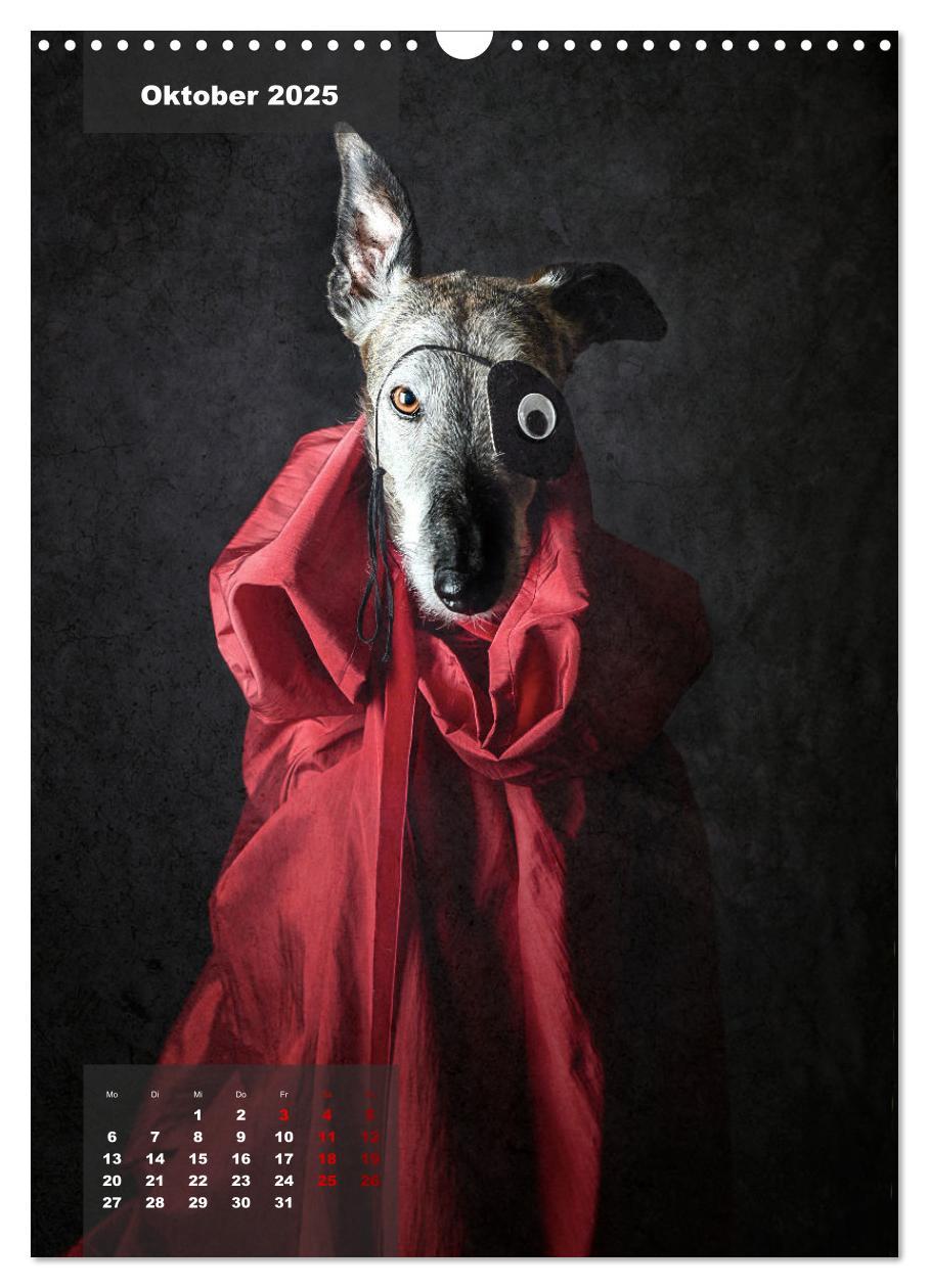 Bild: 9783435932870 | UNDERDOG - Windhundportraits (Wandkalender 2025 DIN A3 hoch),...