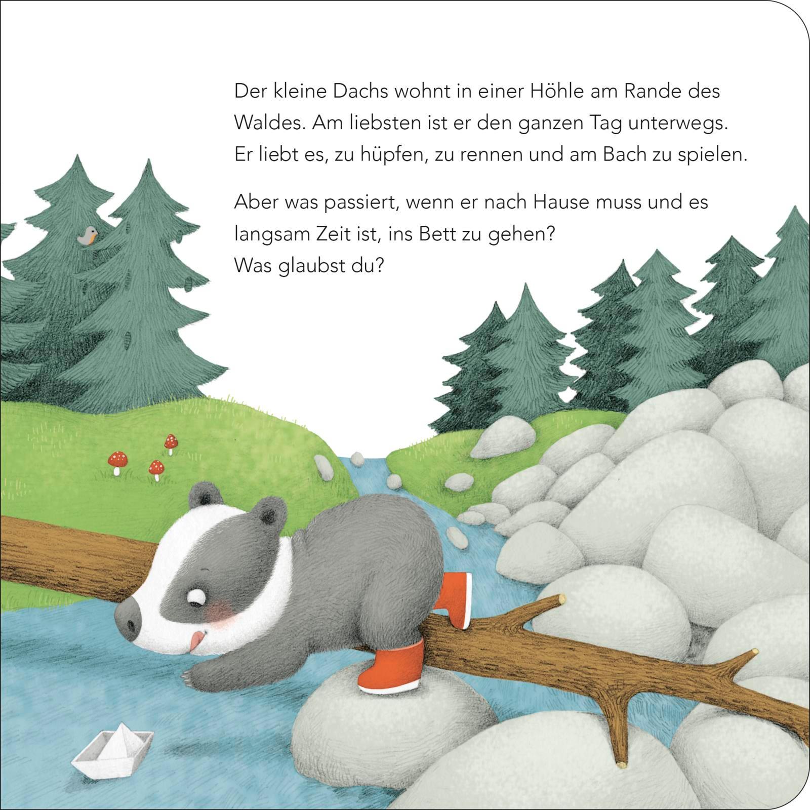 Bild: 9783737356657 | "Ich bin gar nicht müde!", sagt der kleine Dachs (Einschlaf-Buch)