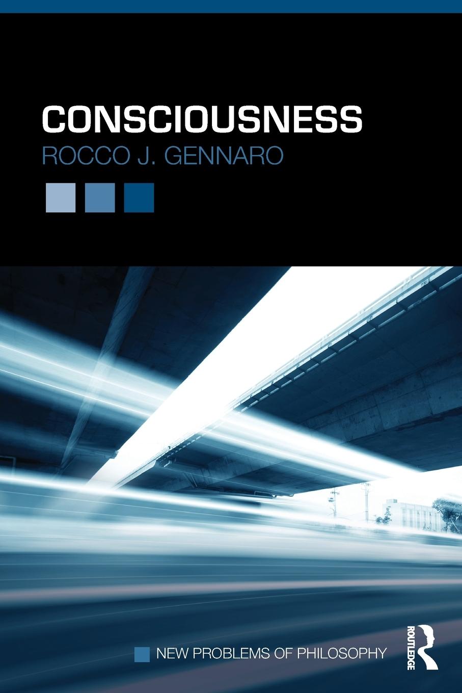 Cover: 9781138827714 | Consciousness | Rocco J Gennaro | Taschenbuch | Englisch | 2016