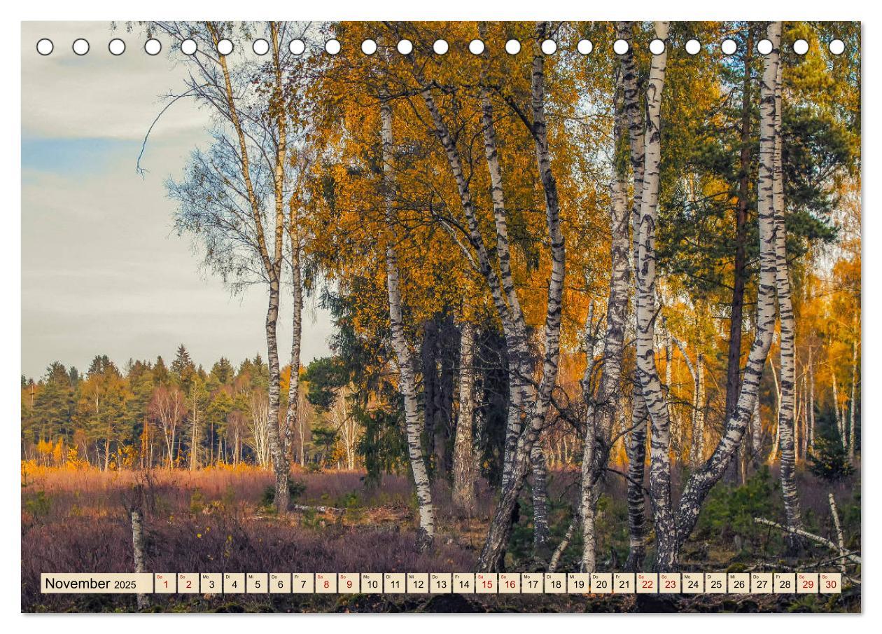 Bild: 9783435227181 | Herbst im Schwenninger Moos (Tischkalender 2025 DIN A5 quer),...