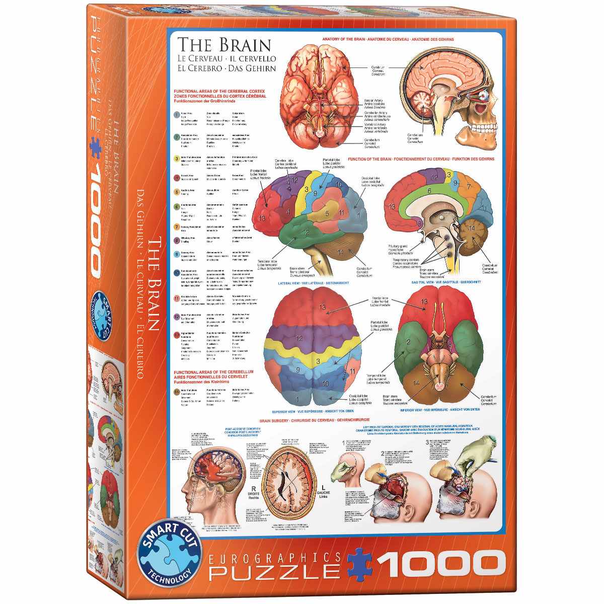 Cover: 628136602563 | The Brain | Puzzle | Deutsch | 2018 | Eurographics s.r.o