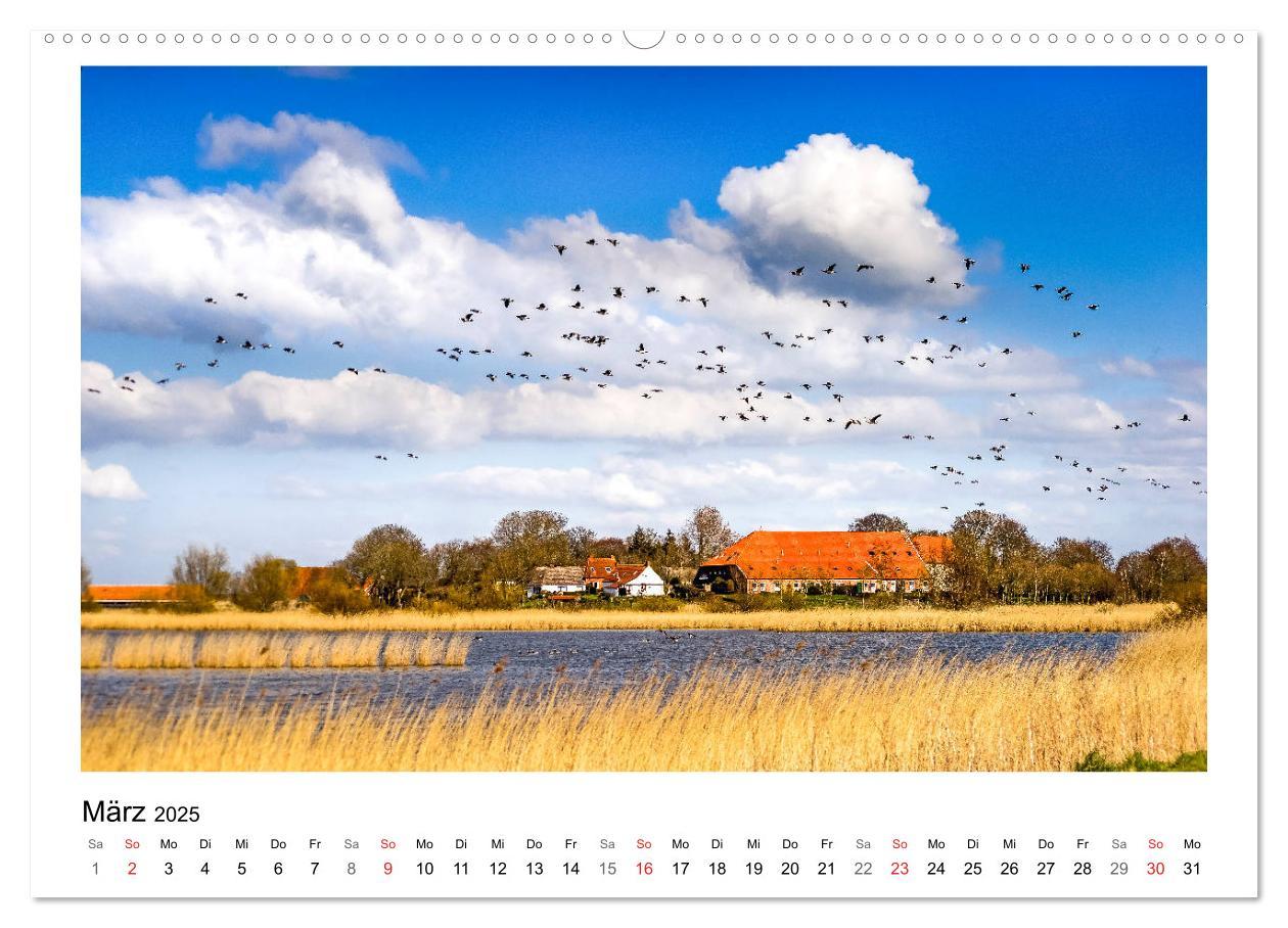 Bild: 9783435494330 | OSTFRIESLAND Strand und Mee(h)r (Wandkalender 2025 DIN A2 quer),...