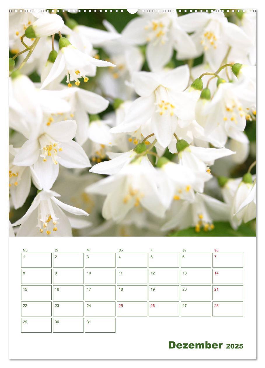 Bild: 9783435965038 | Weiße Blüten im Grünen (Wandkalender 2025 DIN A2 hoch), CALVENDO...