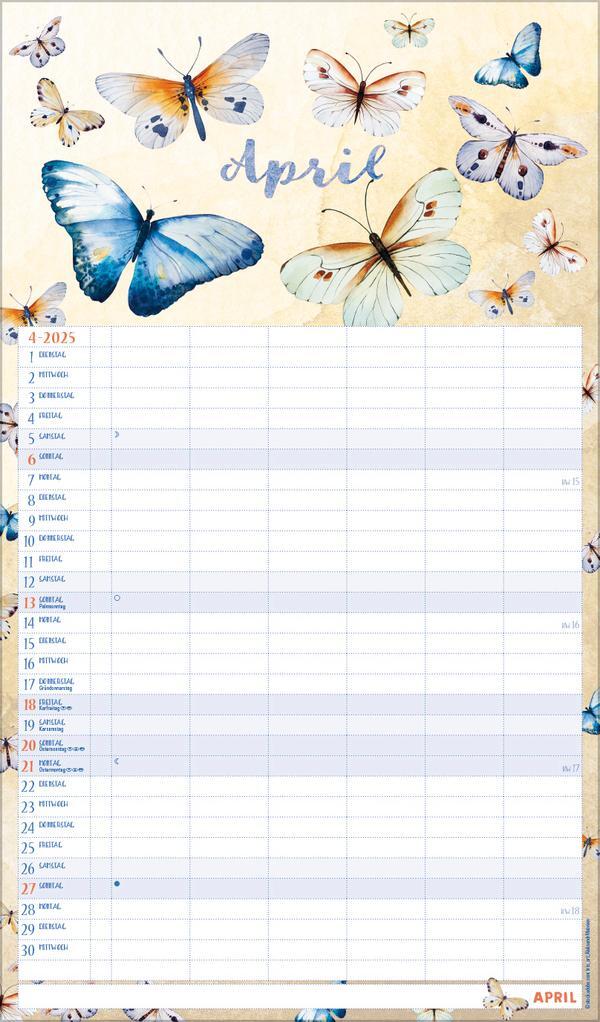 Bild: 9783731877127 | Familienplaner Aquarell 2025 | Verlag Korsch | Kalender | 14 S. | 2026