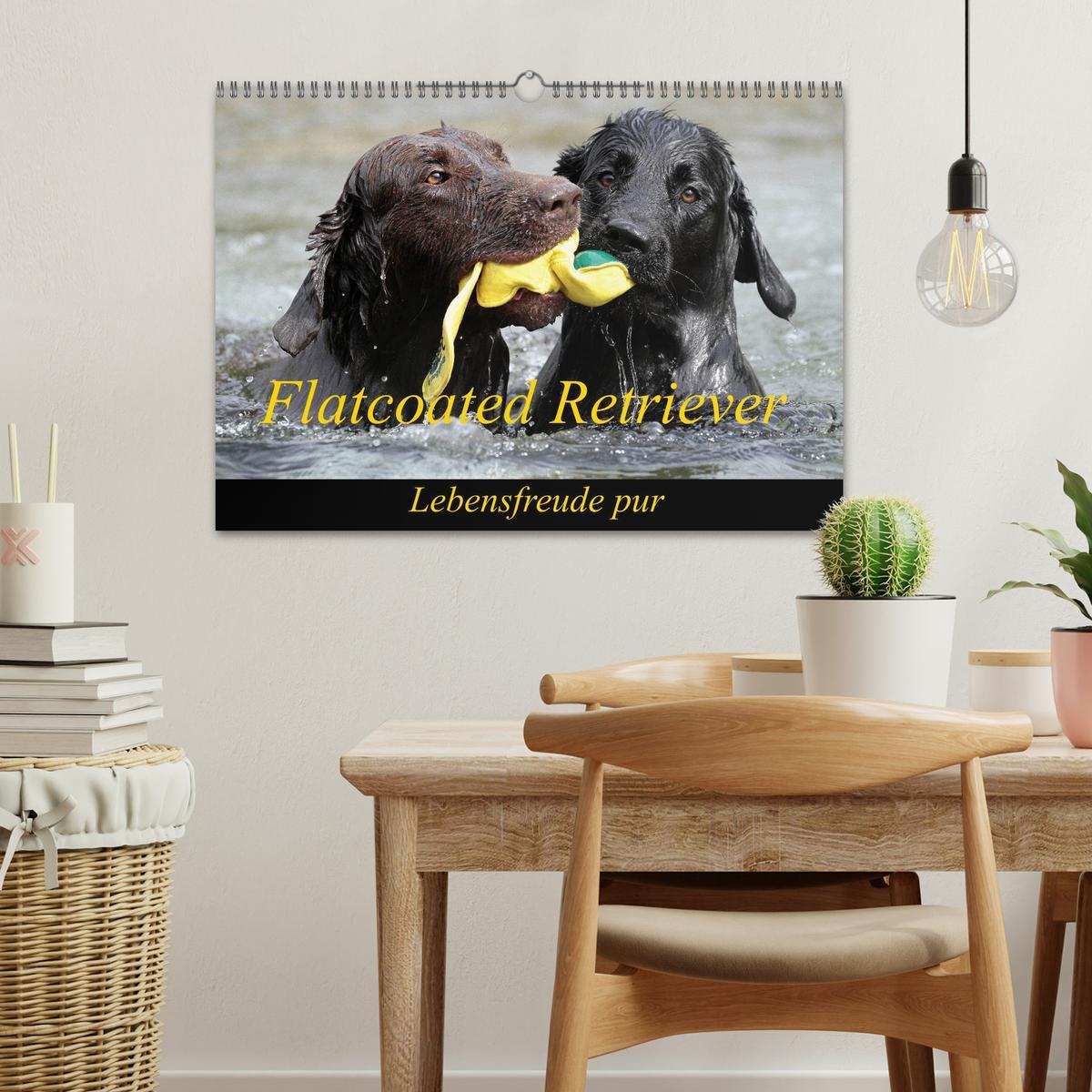 Bild: 9783435726066 | Flatcoated Retriever (Wandkalender 2025 DIN A3 quer), CALVENDO...