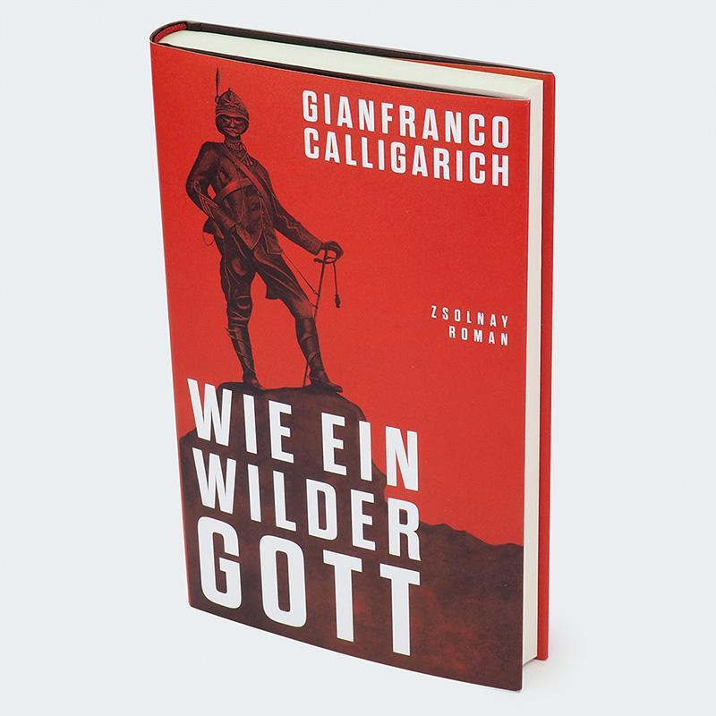 Bild: 9783552075108 | Wie ein wilder Gott | Roman | Gianfranco Calligarich | Buch | 208 S.