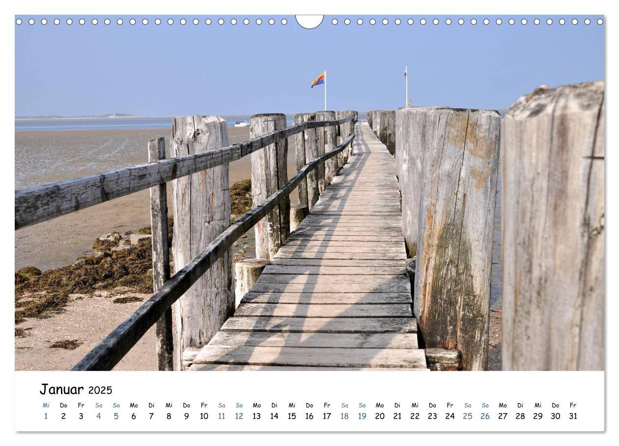 Bild: 9783435757671 | Föhr und Halligwelt 2025 (Wandkalender 2025 DIN A3 quer), CALVENDO...