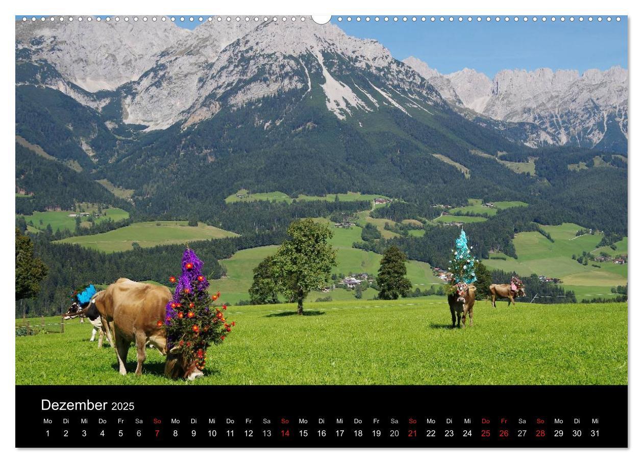 Bild: 9783435536597 | Almabtrieb in Tirol (Wandkalender 2025 DIN A2 quer), CALVENDO...