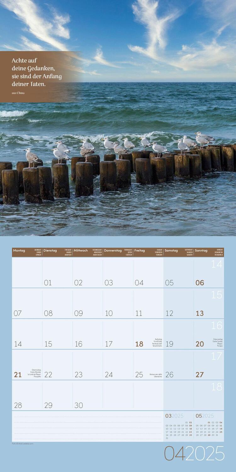 Bild: 9783838445021 | Momente für Dich Kalender 2025 - 30x30 | Ackermann Kunstverlag | 28 S.