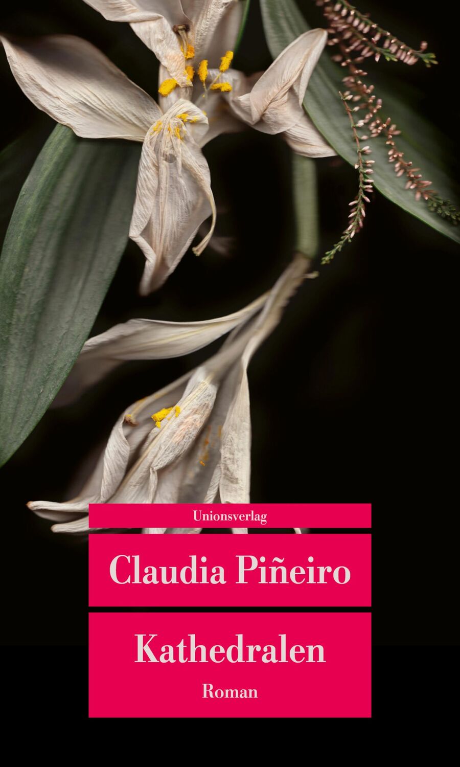 Cover: 9783293710191 | Kathedralen | Roman | Claudia Piñeiro | Taschenbuch | 320 S. | Deutsch