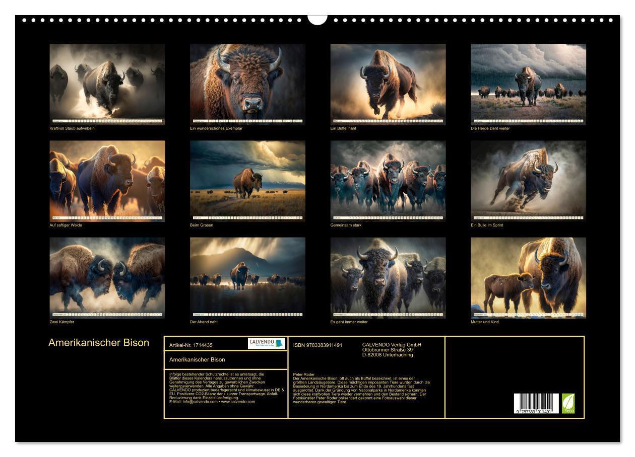 Bild: 9783383911491 | Amerikanischer Bison (Wandkalender 2025 DIN A2 quer), CALVENDO...