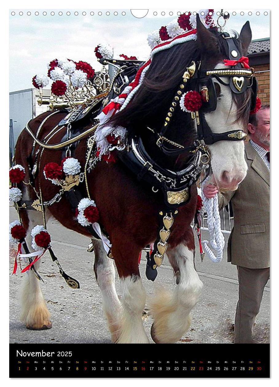 Bild: 9783457069646 | Shire Horse - Geschmückte Riesen (Wandkalender 2025 DIN A3 hoch),...