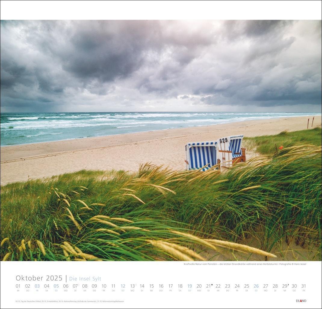 Bild: 9783964023100 | Die Insel Sylt Edition Kalender 2025 - Hans Jessel | Kalender | 13 S.